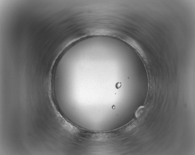 X0000073931000200608111155