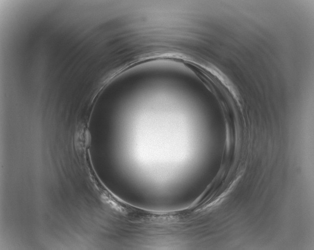 X0000073931001200608111155