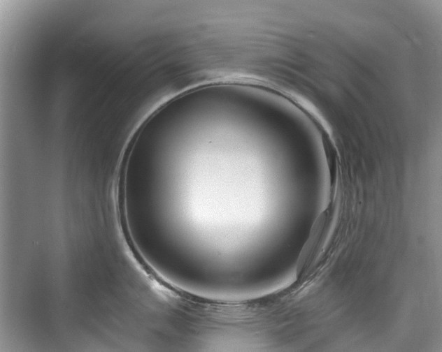 X0000073931007200608111155