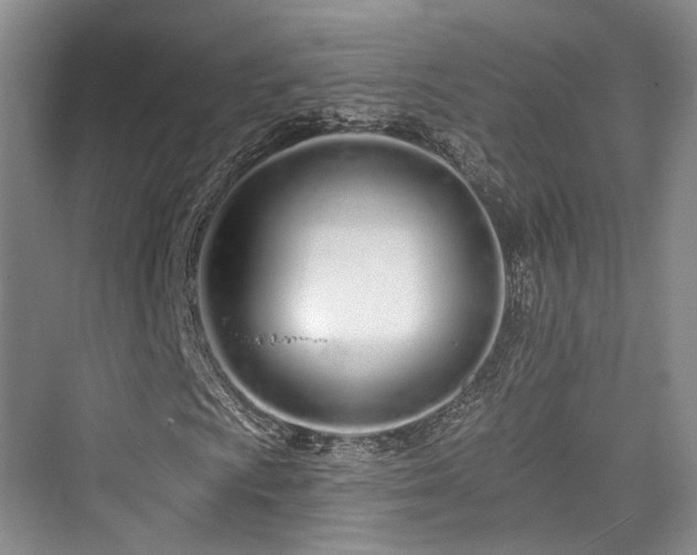 X0000073931009200608111154