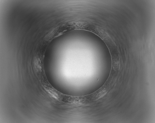 X0000073931010200608111154