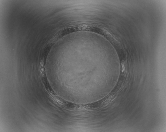 X0000073931011200608111154