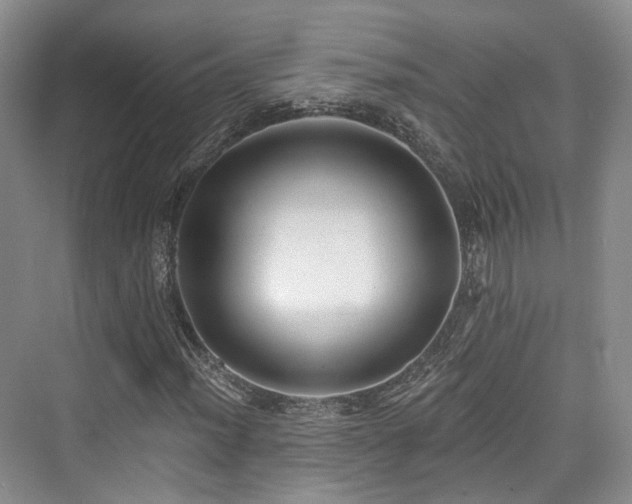 X0000073931012200608111154