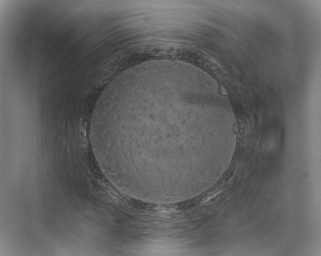 X0000073931013200608111154