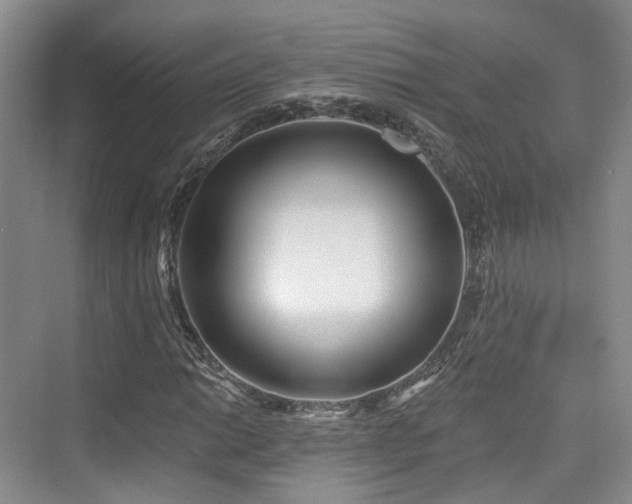 X0000073931014200608111154