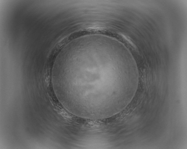 X0000073931015200608111154