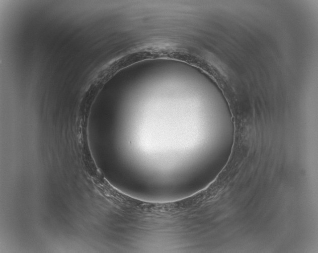 X0000073931016200608111155