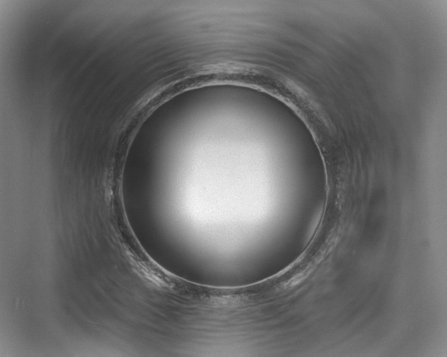 X0000073931017200608111155