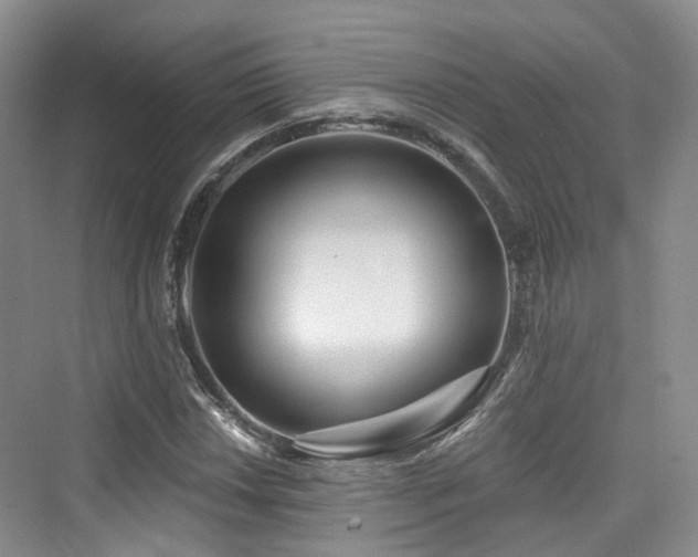 X0000073931018200608111155