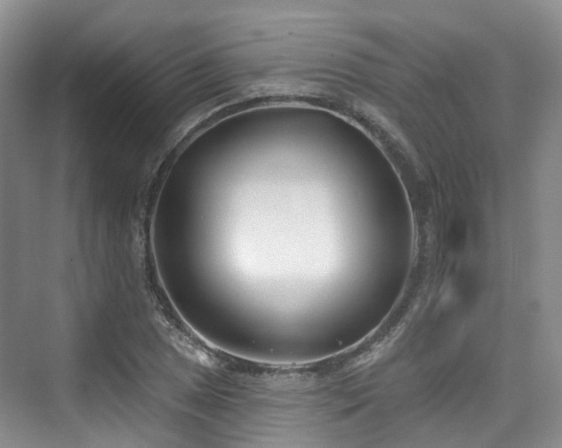 X0000073931025200608111155