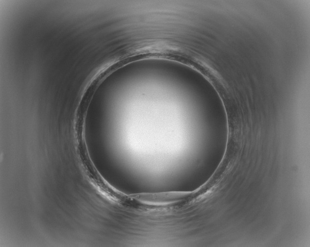 X0000073931026200608111155