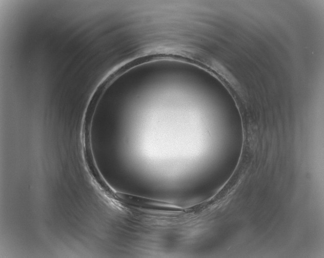 X0000073931028200608111155