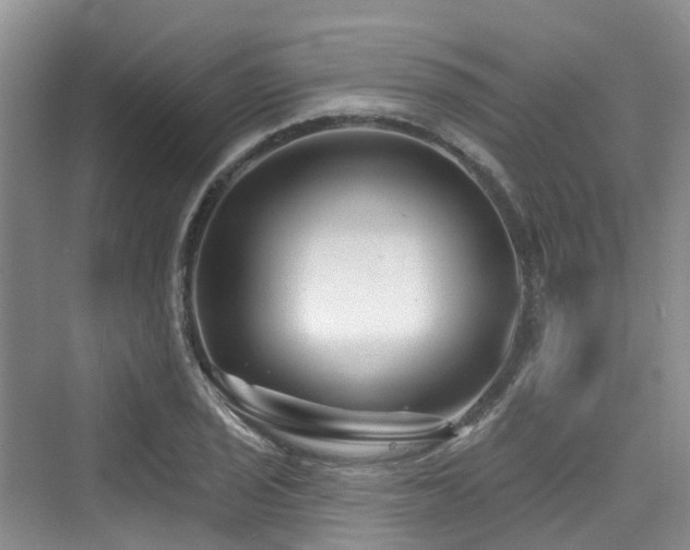 X0000073931029200608111155