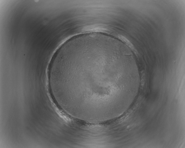 X0000073931031200608111155