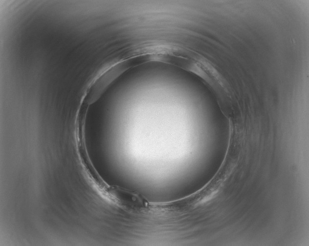 X0000073931034200608111155