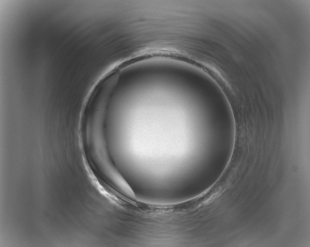 X0000073931038200608111155