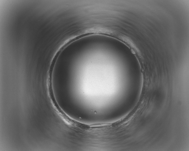 X0000073931040200608111155