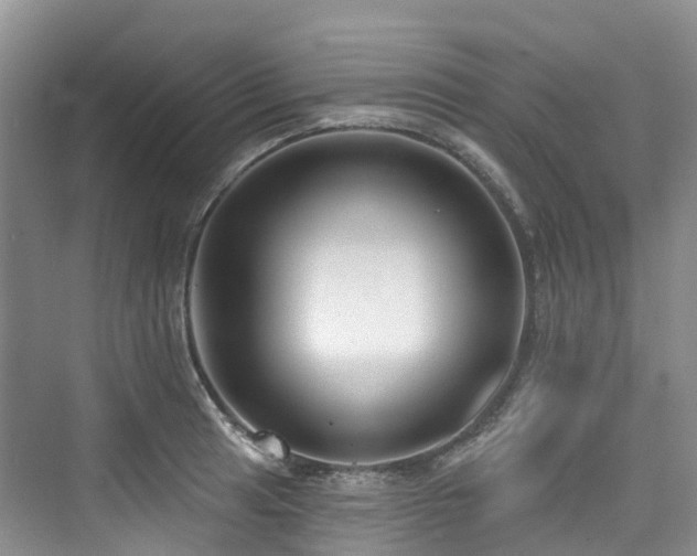 X0000073931041200608111155