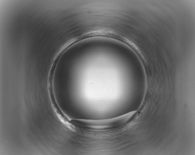 X0000073931042200608111155