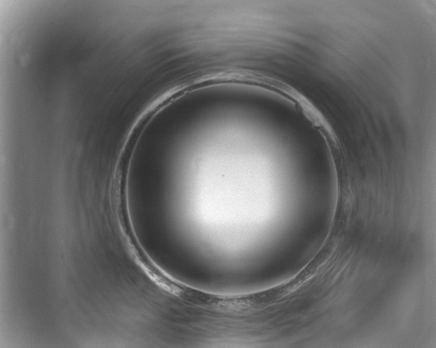 X0000073931053200608111155