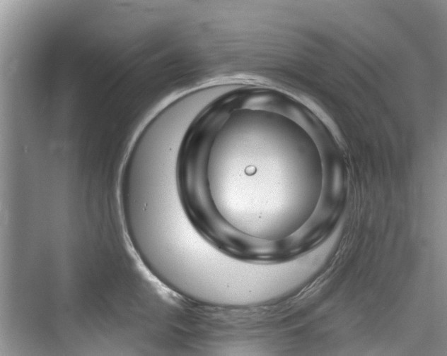 X0000073931054200608111155