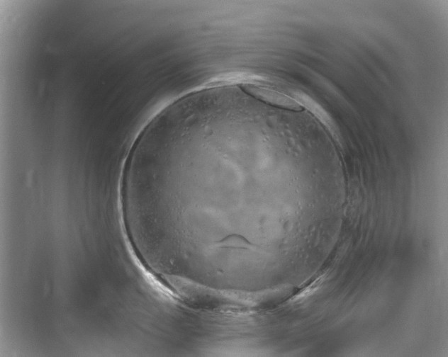 X0000073931055200608111155