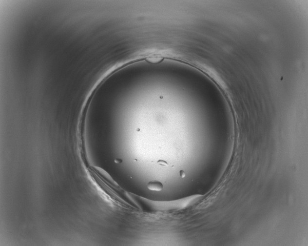 X0000073931056200608111155