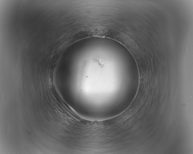 X0000073931058200608111154