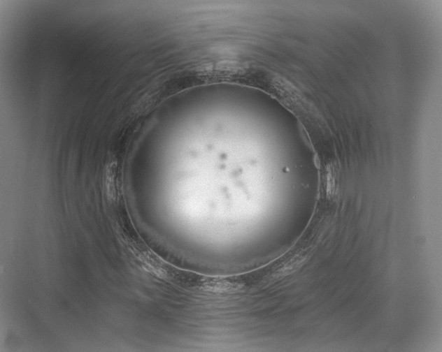 X0000073931059200608111154