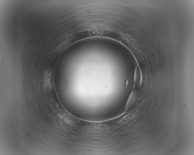 X0000073931060200608111154