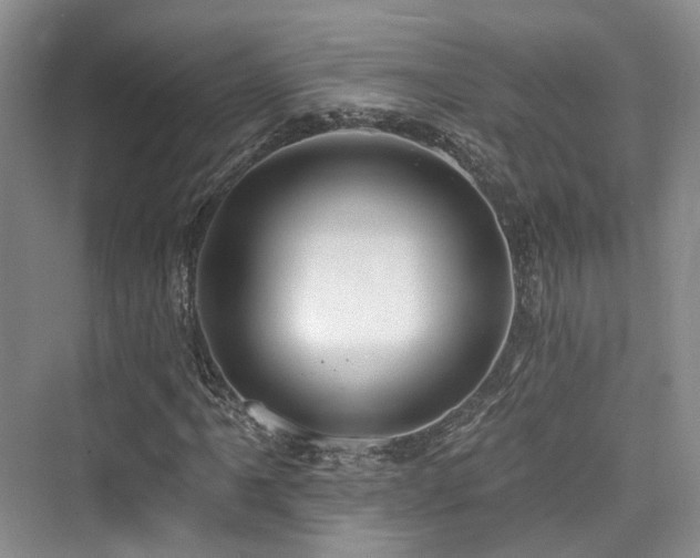 X0000073931061200608111154