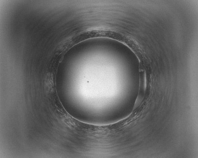 X0000073931062200608111154