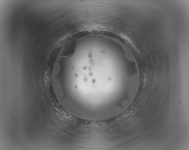 X0000073931063200608111154