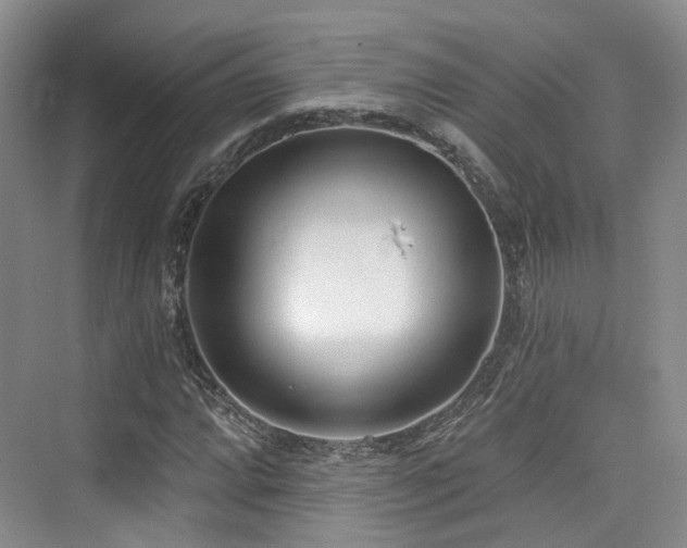 X0000073931064200608111154