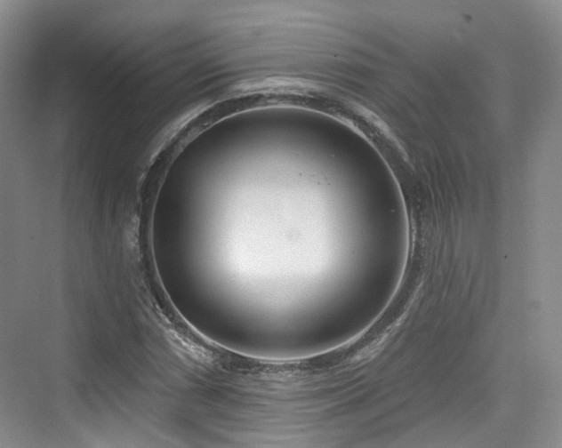 X0000073931066200608111154