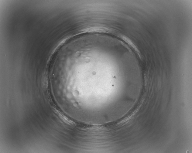 X0000073931067200608111154