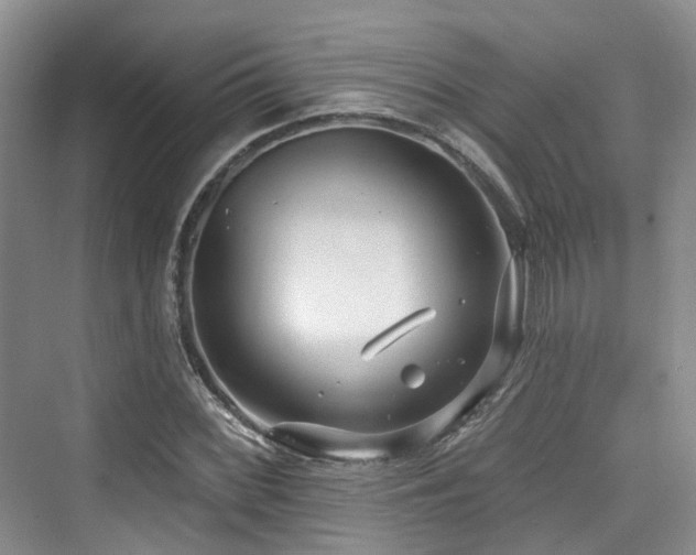 X0000073931068200608111154