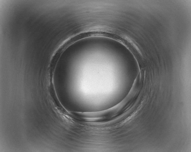 X0000073931069200608111154