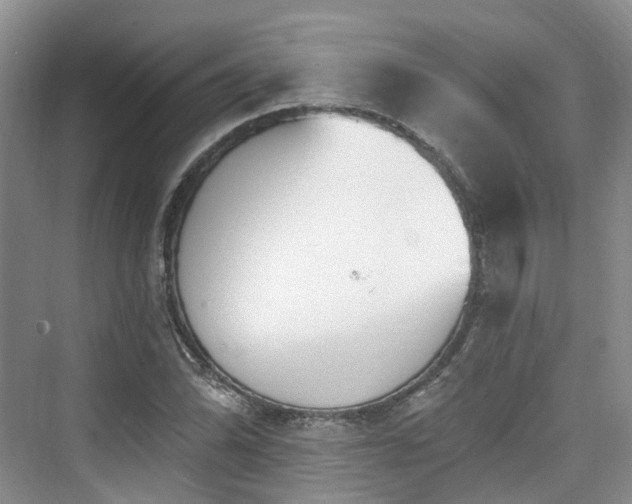 X0000073931070200608111154