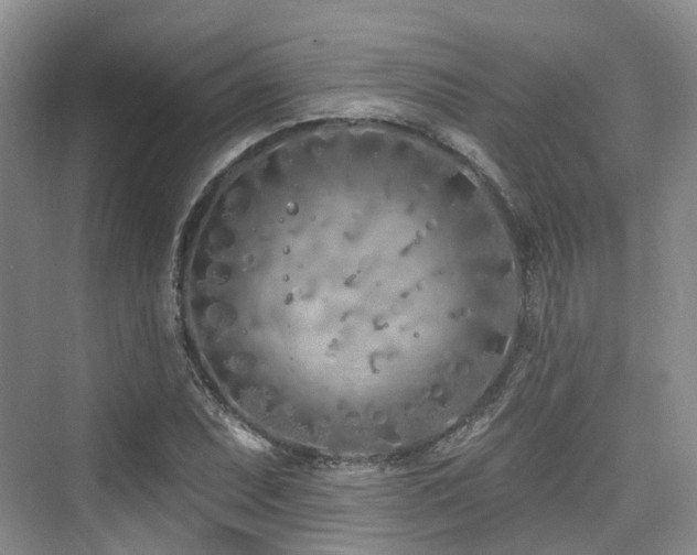 X0000073931071200608111154