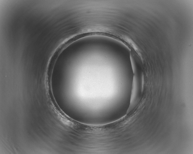 X0000073931072200608111154