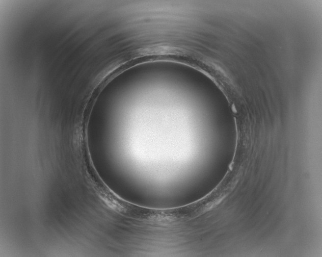 X0000073931073200608111154