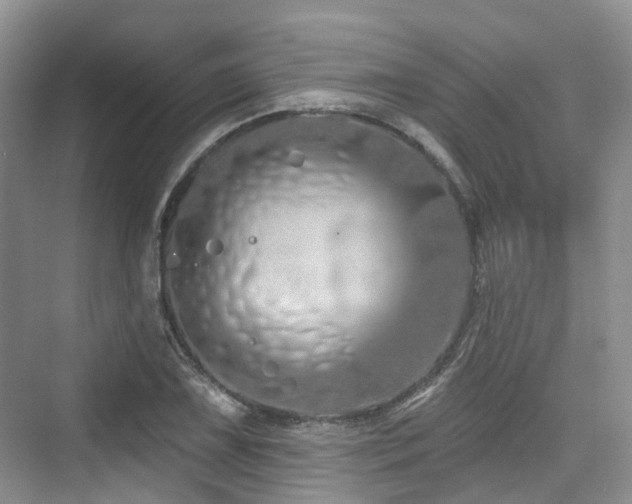 X0000073931075200608111154