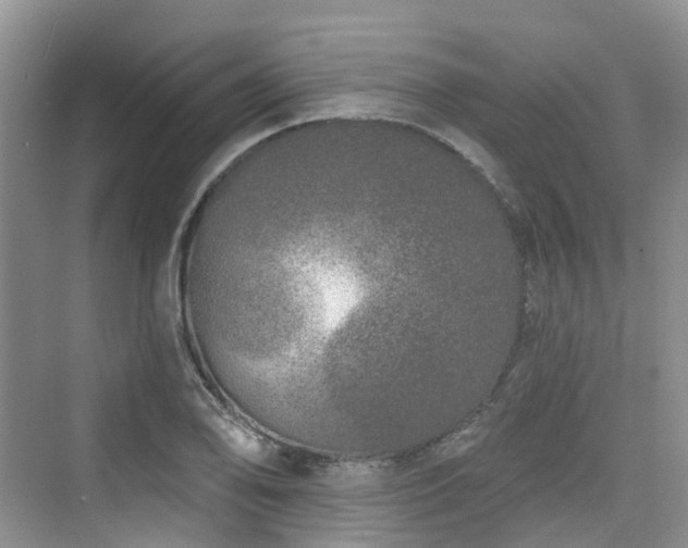 X0000073931078200608111154