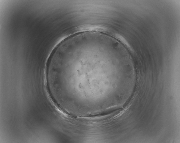 X0000073931079200608111154