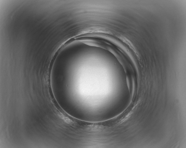 X0000073931081200608111154