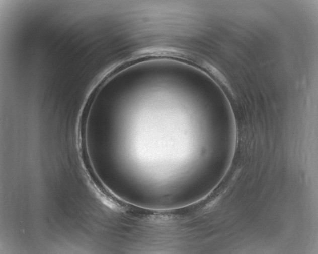 X0000073931082200608111154