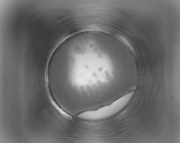 X0000073931084200608111154