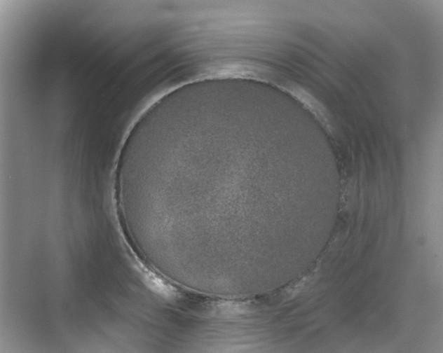 X0000073931086200608111154