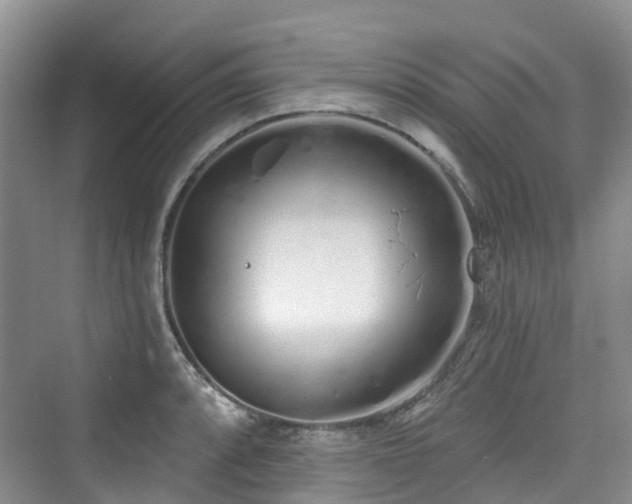 X0000073931088200608111154